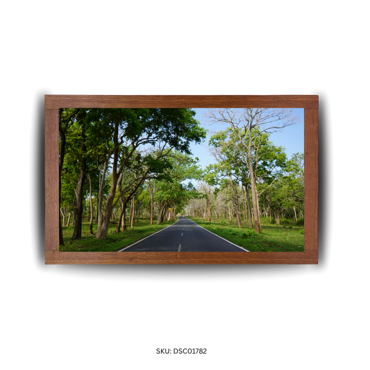 Whispering Woods Way - First Image