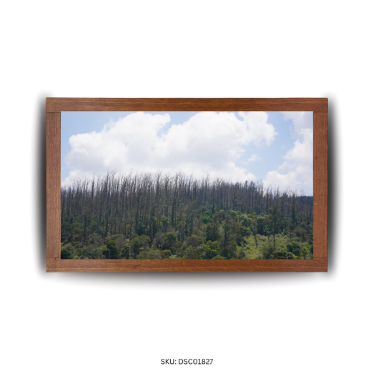 The Tall Trail Ahead - First Image