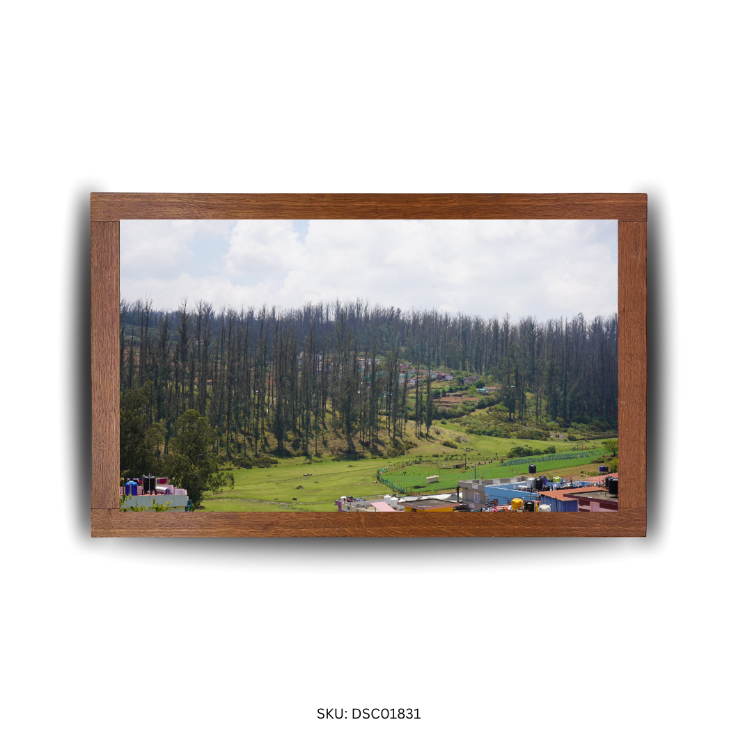 Among Trees and Trails - First Image