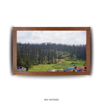 Among Trees and Trails - First Image