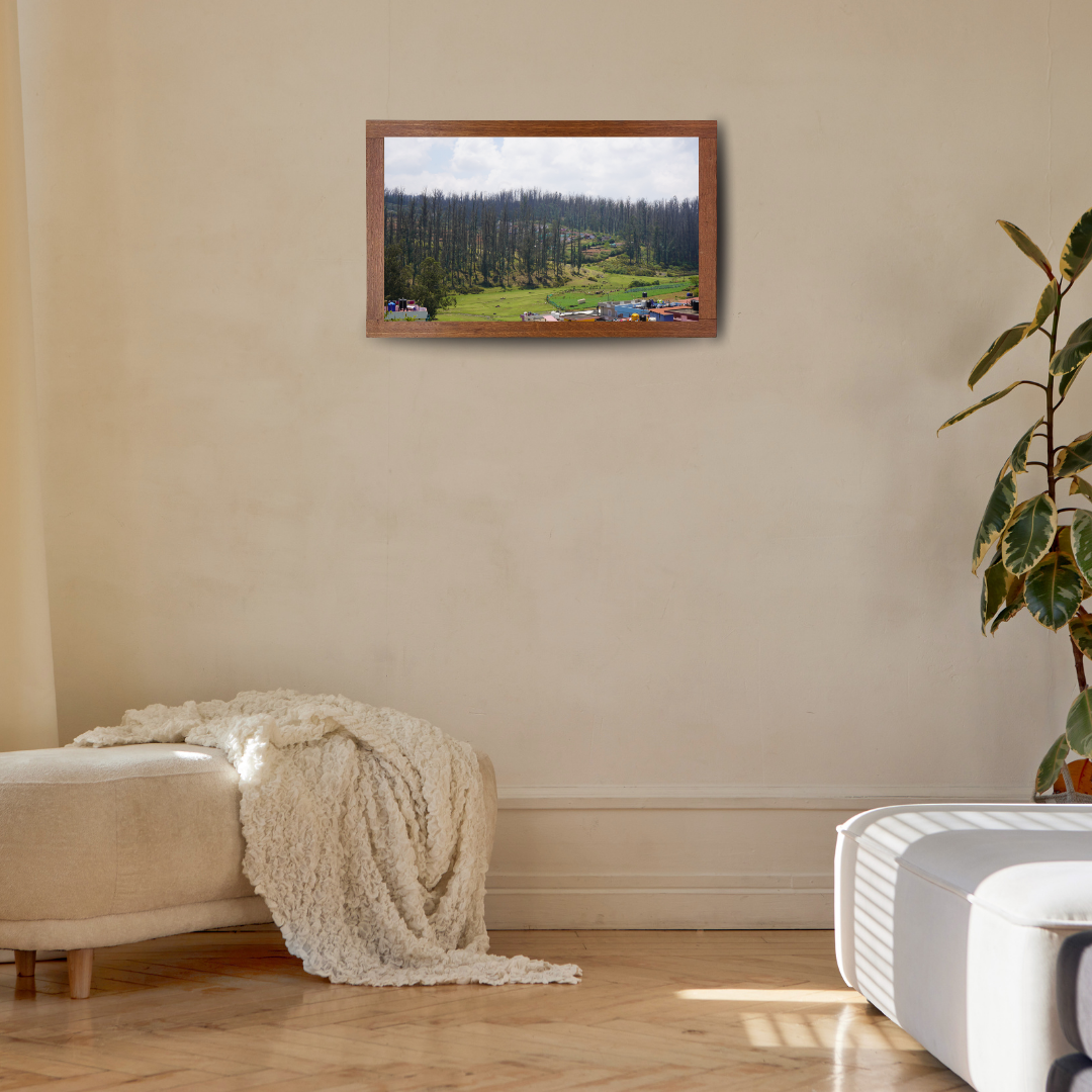 Among Trees and Trails