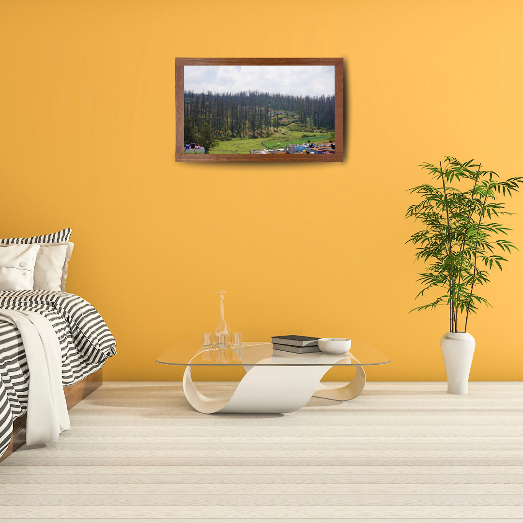 Among Trees and Trails