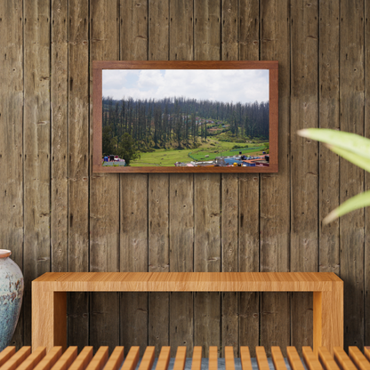 Among Trees and Trails