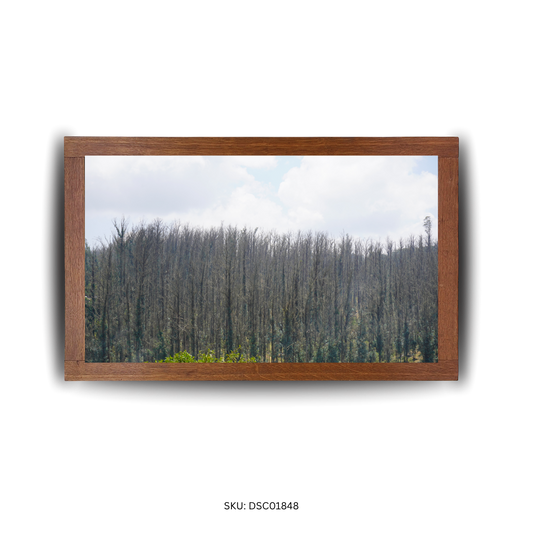 The Longwood Passage - First Image