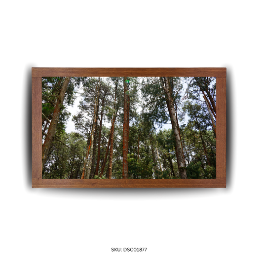 Tall Treescape Bliss - First Image