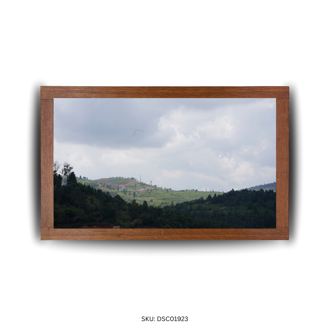 Drifting Shadows, Driving Dreams - First Image