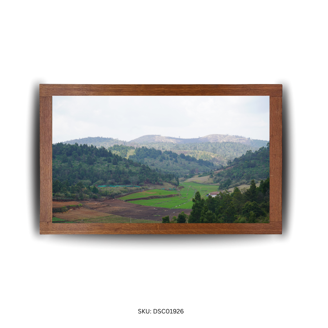 Beneath the Clouds, Beyond the Hills - First Image