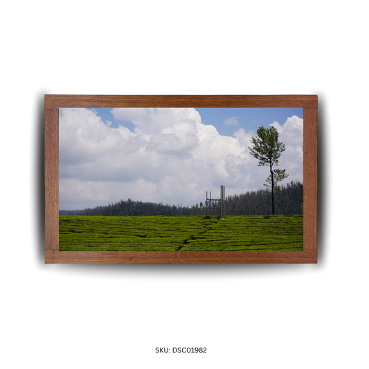 Nature’s Gentle Bend - First Image