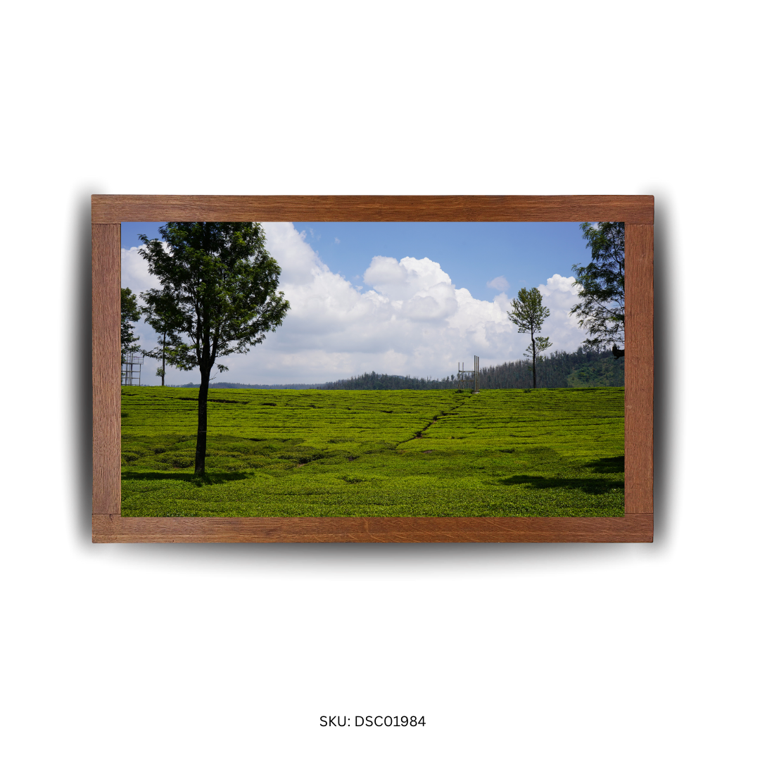 The Winding Green Symphony - First Image