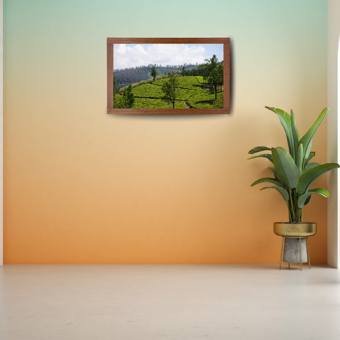 Bend of the Botanical Hills