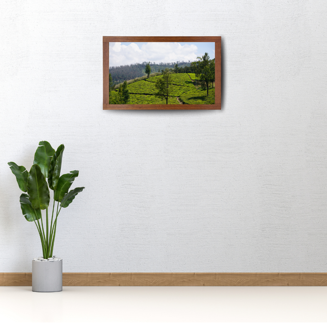 Bend of the Botanical Hills