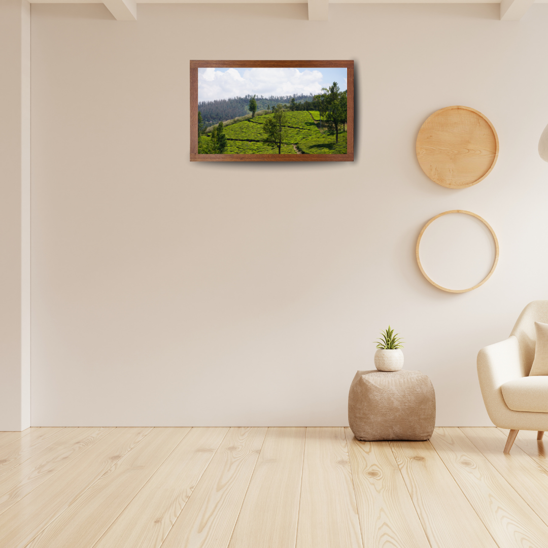 Bend of the Botanical Hills