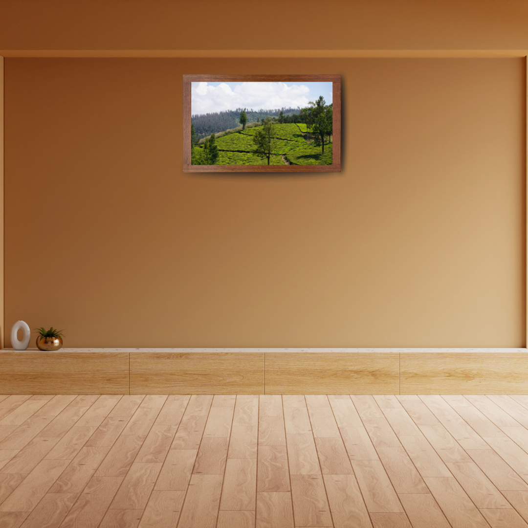 Bend of the Botanical Hills