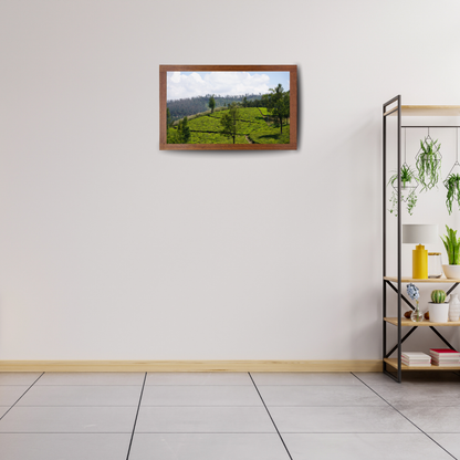 Bend of the Botanical Hills