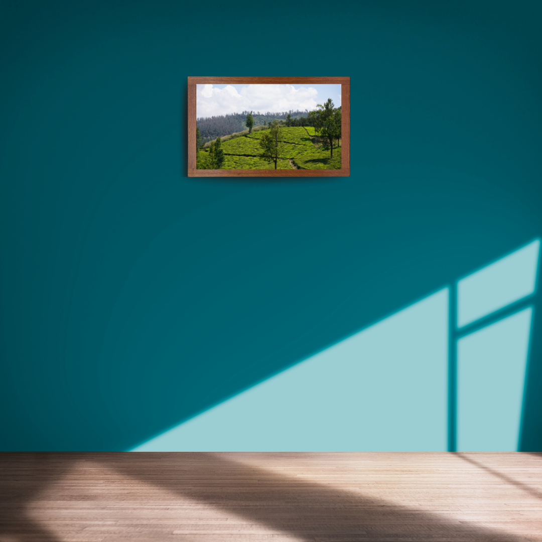 Bend of the Botanical Hills