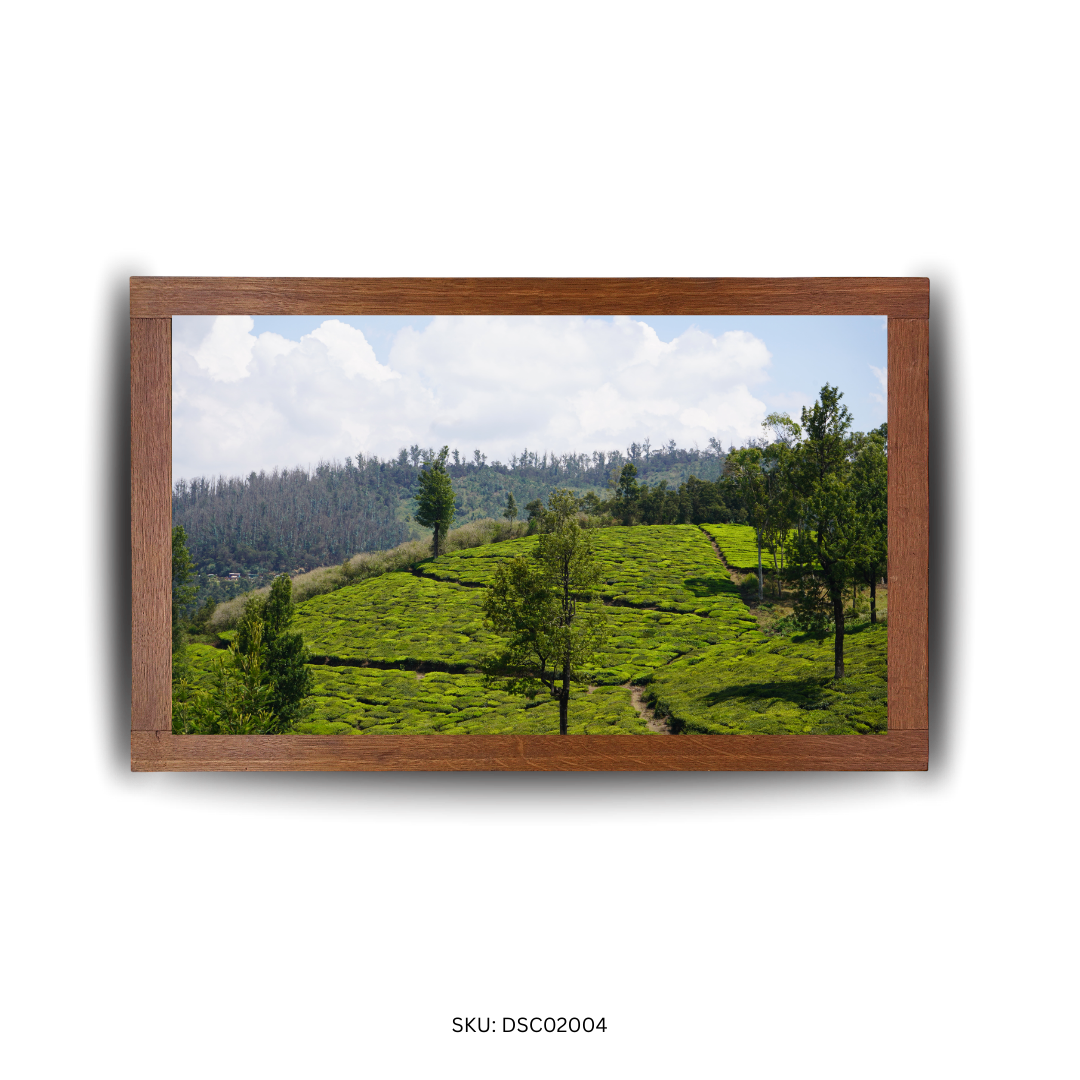 Bend of the Botanical Hills - First Image