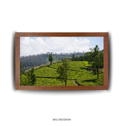 Bend of the Botanical Hills - First Image