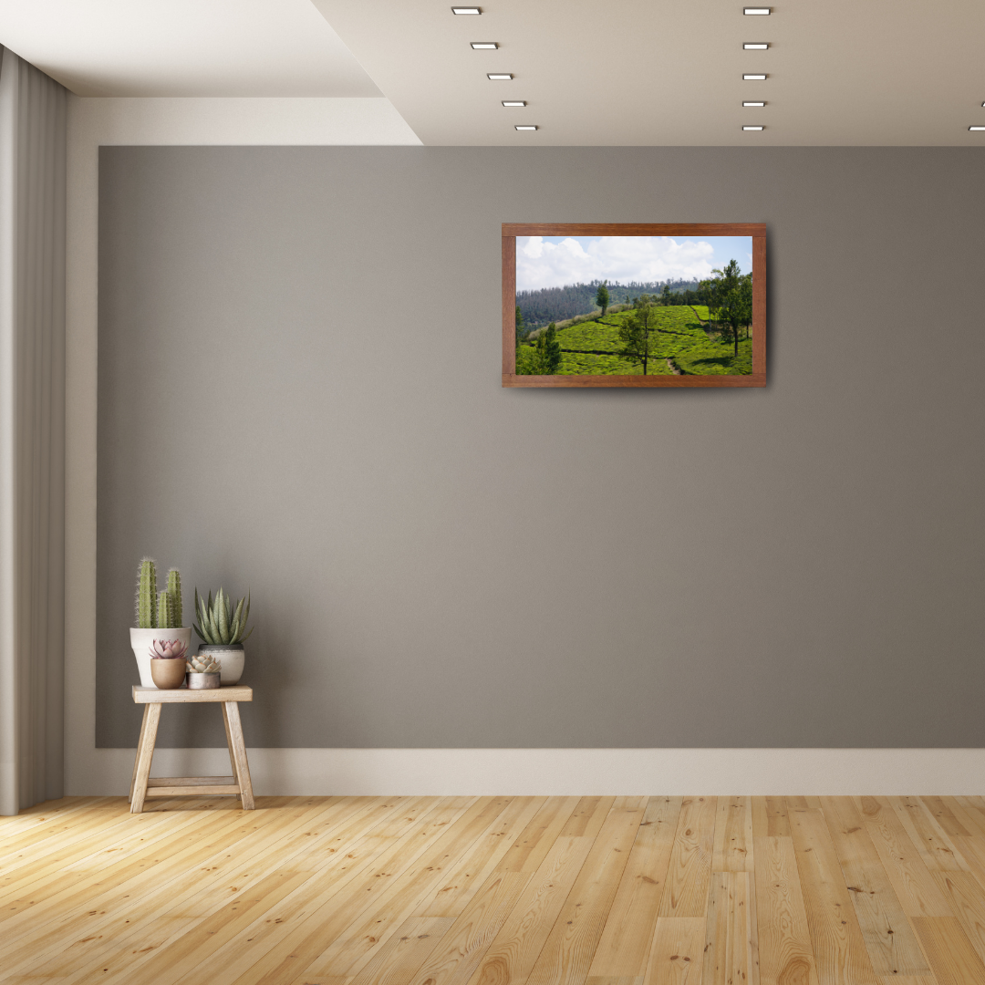 Bend of the Botanical Hills