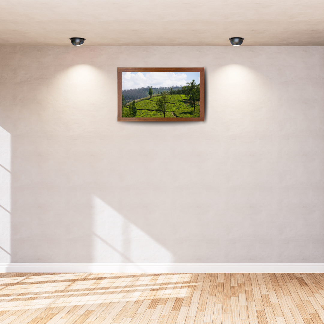 Bend of the Botanical Hills