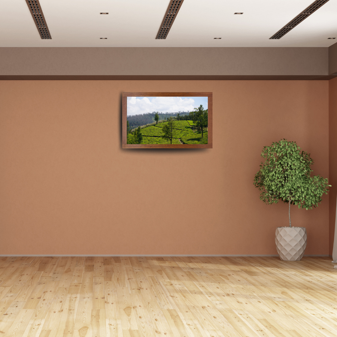 Bend of the Botanical Hills