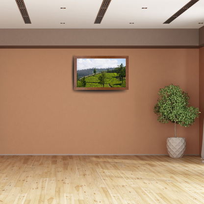 Bend of the Botanical Hills