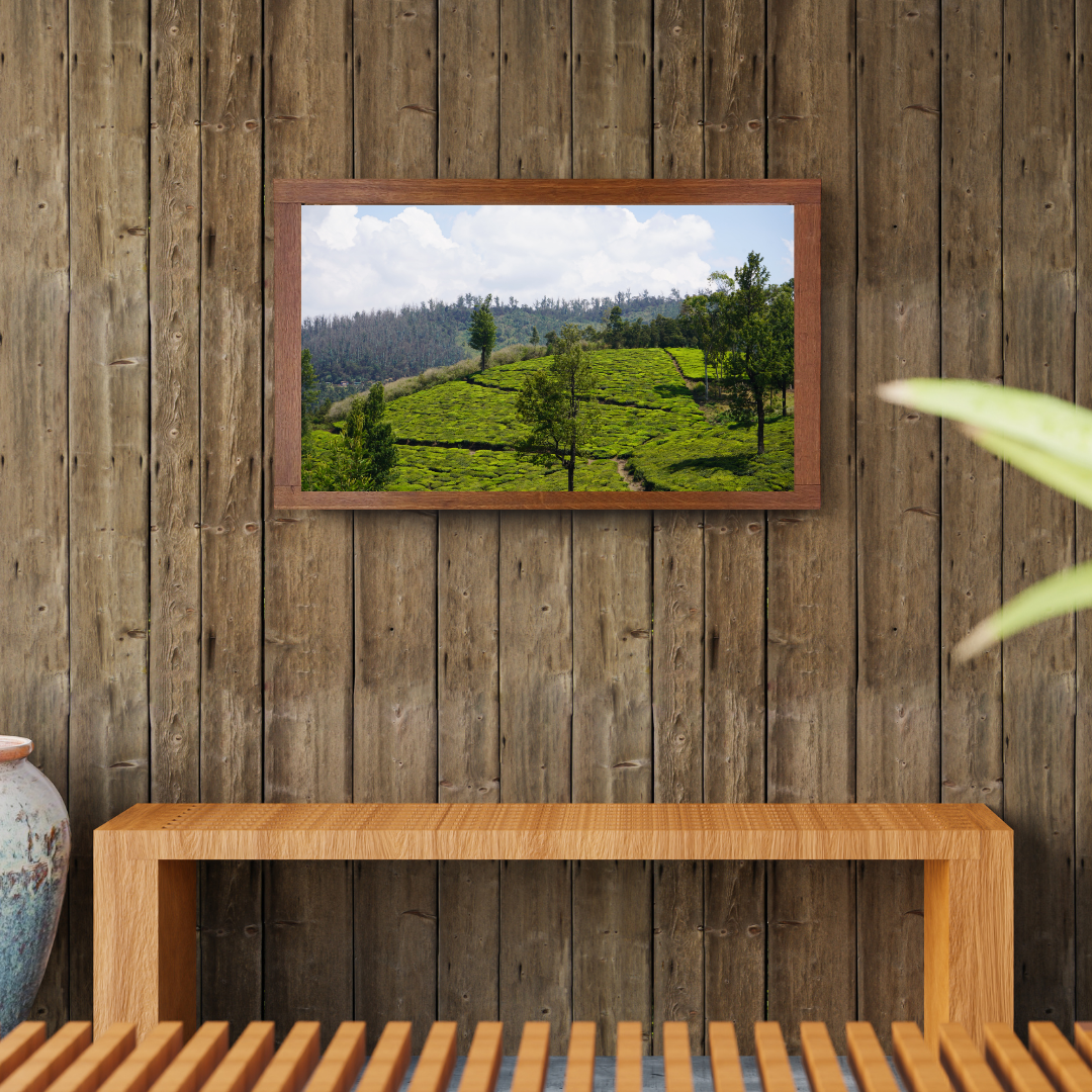 Bend of the Botanical Hills