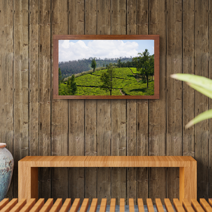 Bend of the Botanical Hills