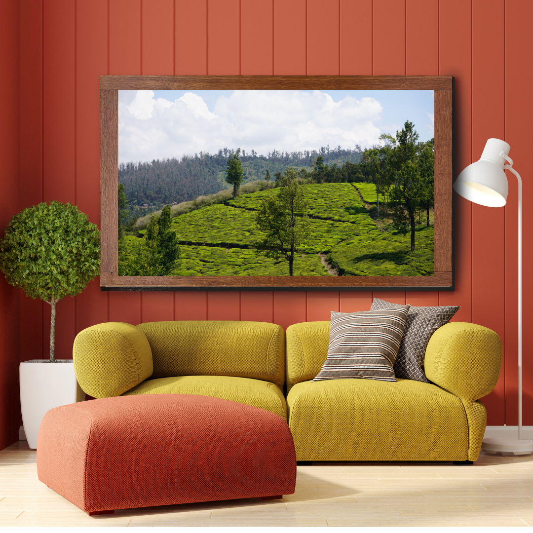 Bend of the Botanical Hills