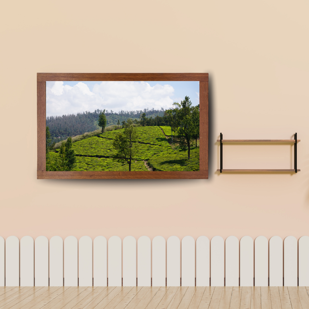 Bend of the Botanical Hills