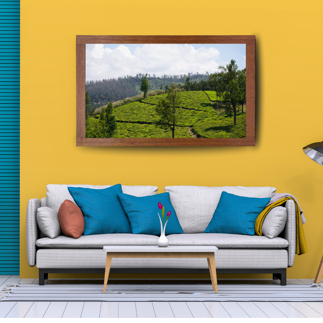 Bend of the Botanical Hills