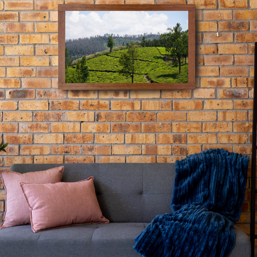 Bend of the Botanical Hills