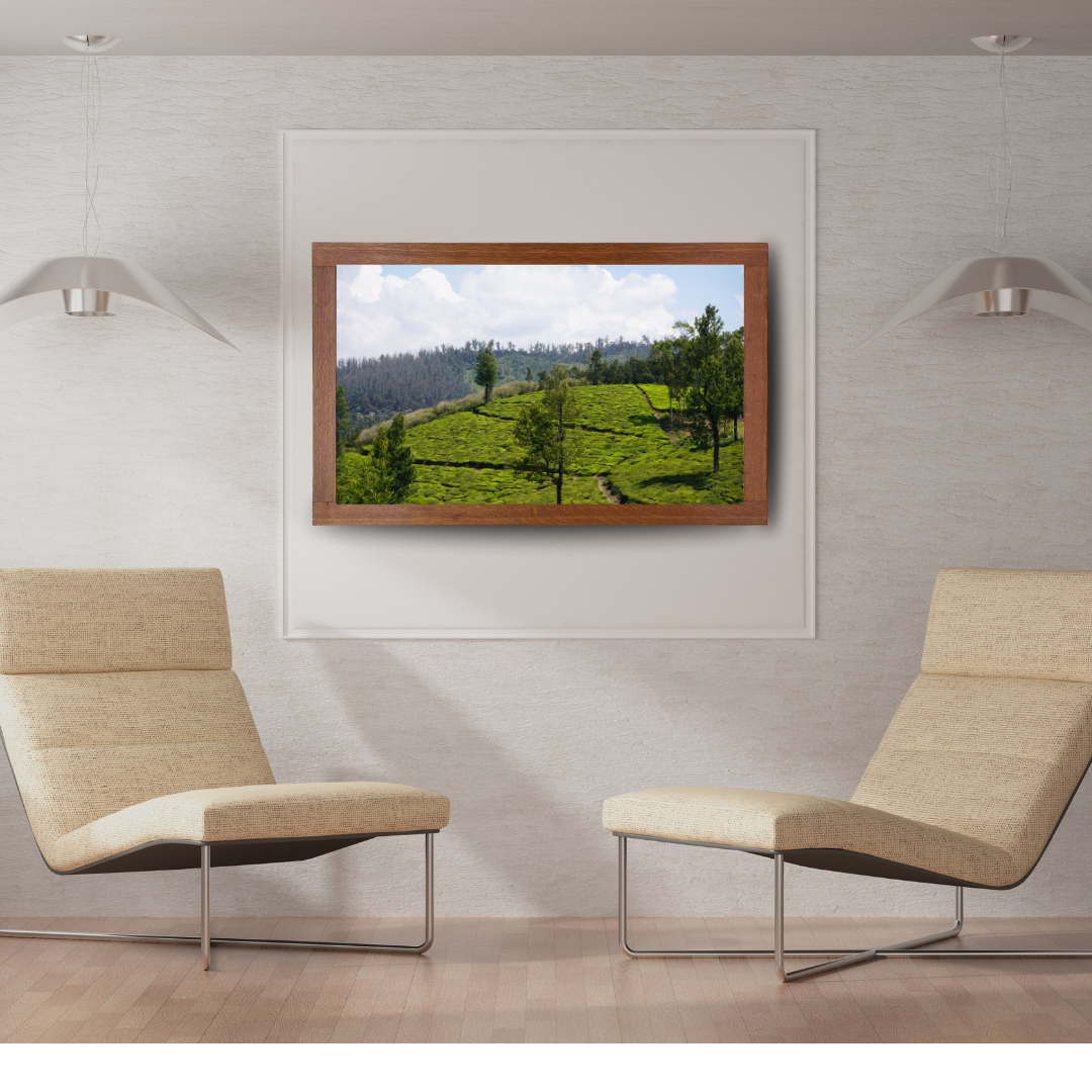 Bend of the Botanical Hills