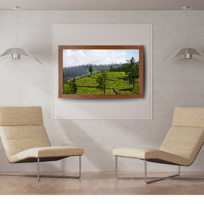 Bend of the Botanical Hills