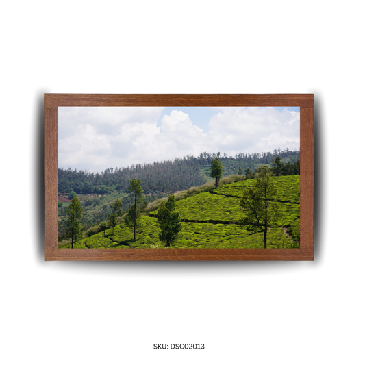 Nature’s Gentle Arc - First Image