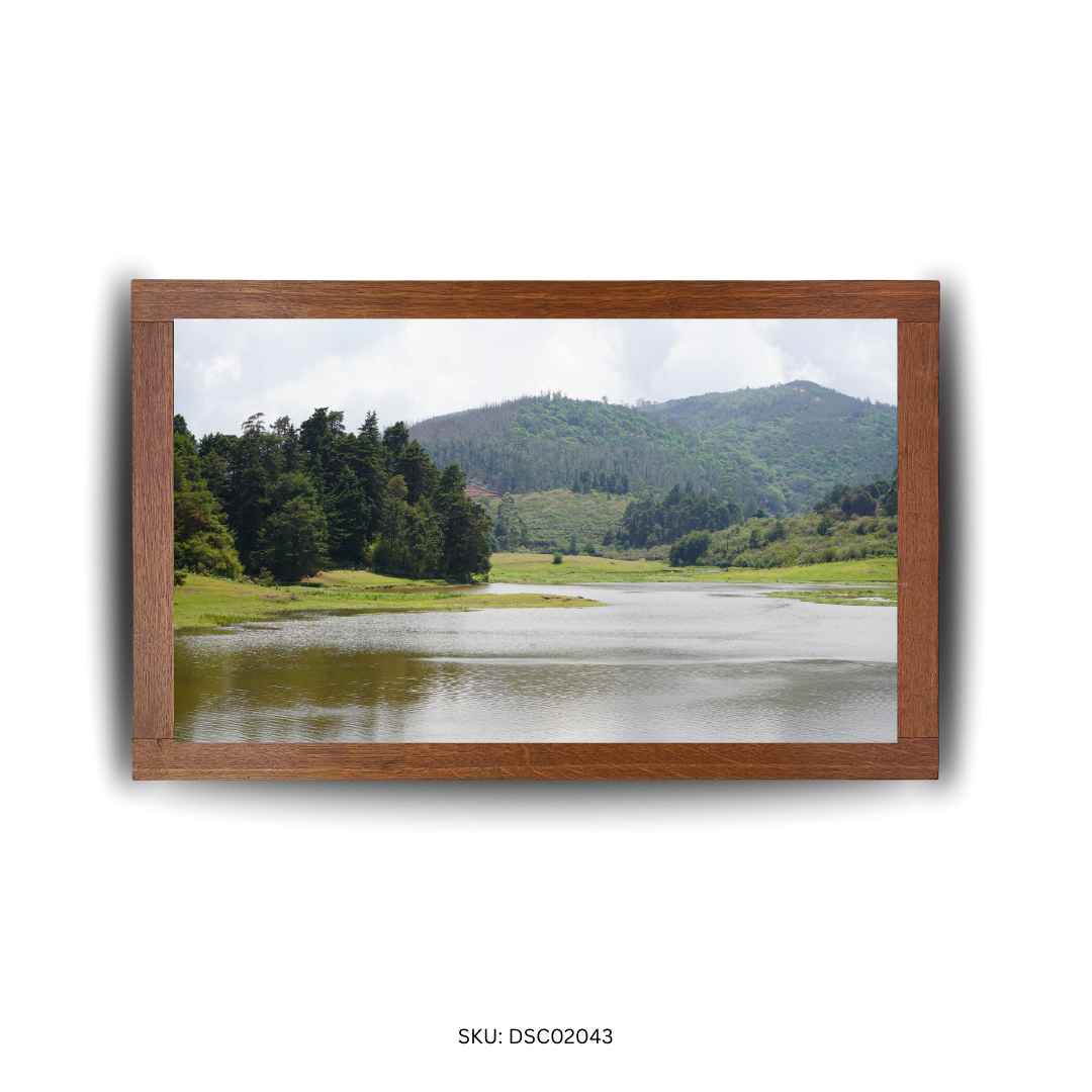 Reflections of Green Serenity - First Image