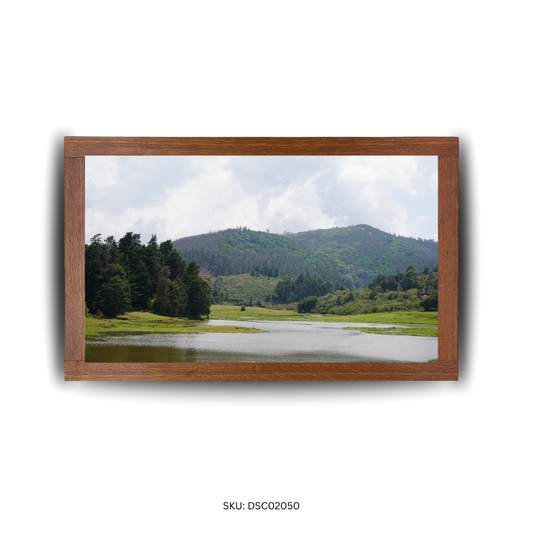 Verdant Reflections - First Image