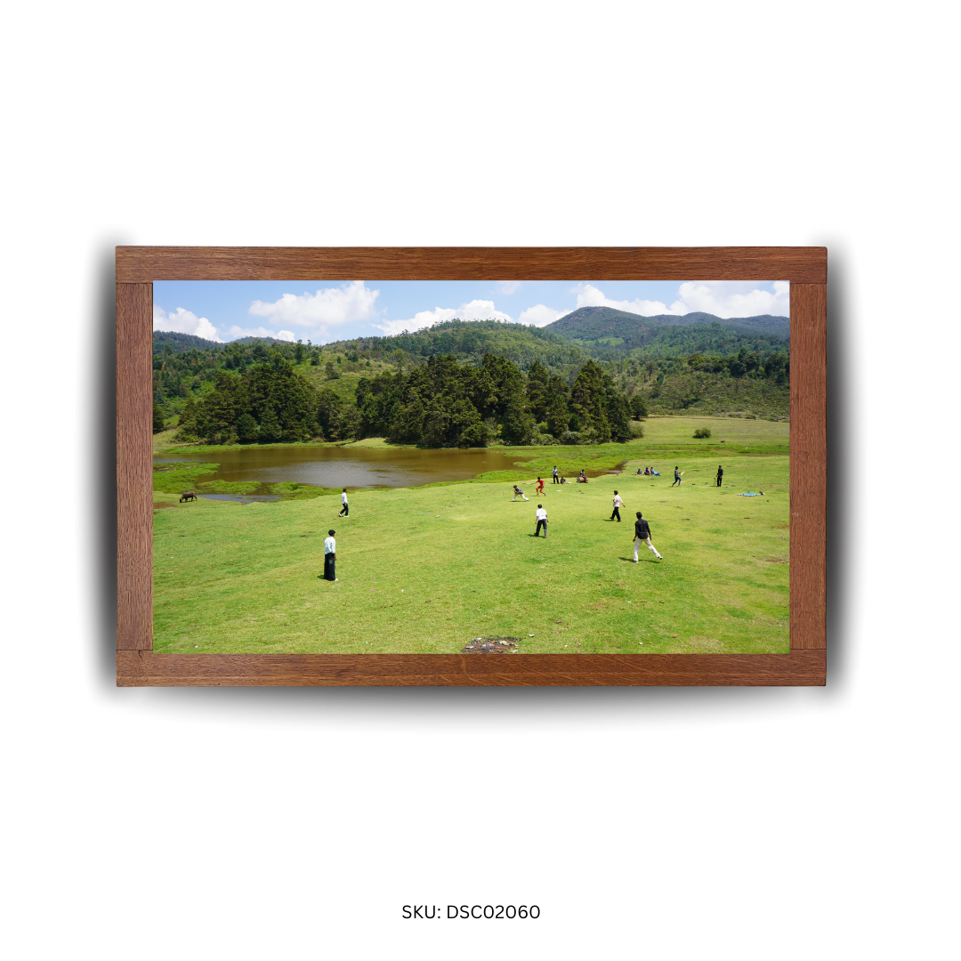 Cricket in the Valley Breeze - First Image