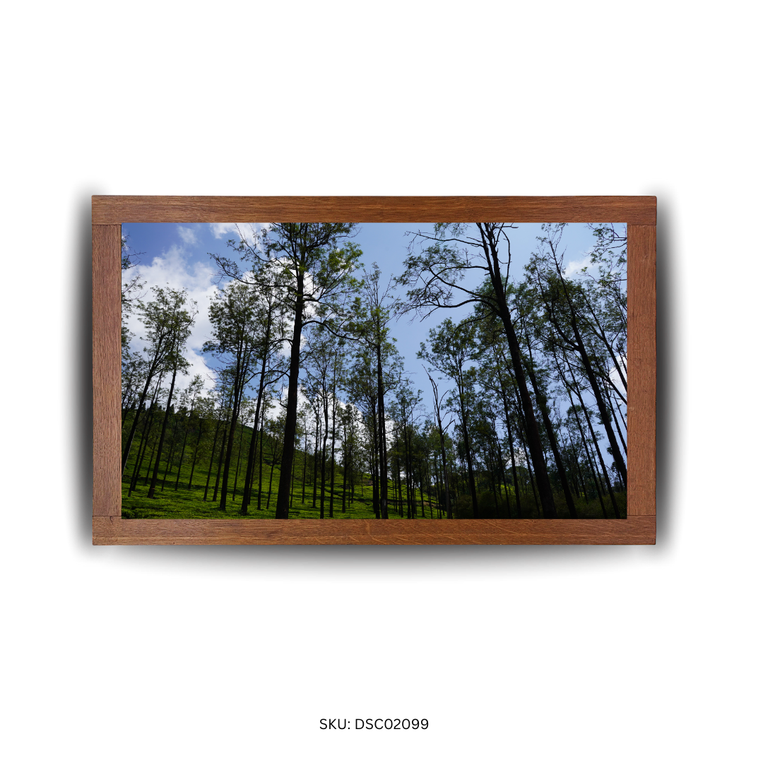 Breath of the Emerald Giants - First Image