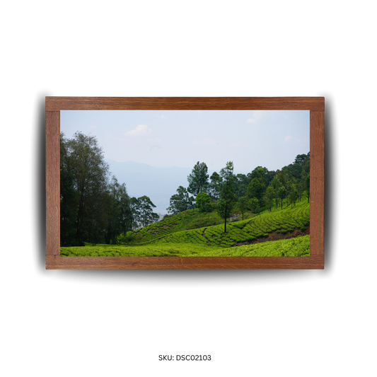 The Lush Uplands - First Image