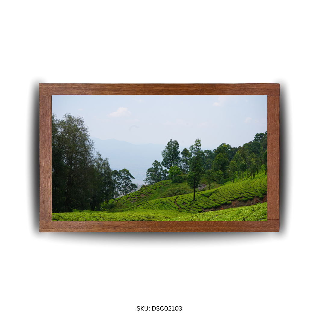 The Lush Uplands - First Image
